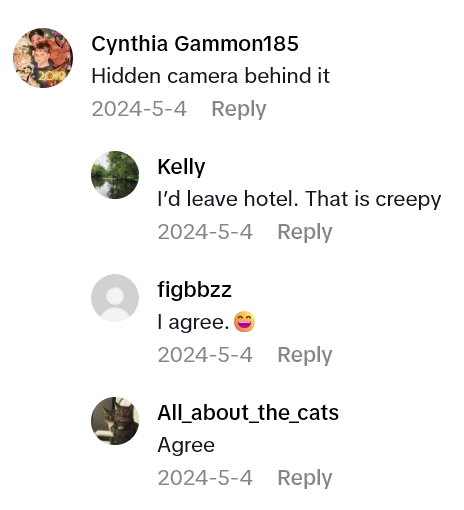 2025 08 20 23 49 31 Hotel Room Guest Noticed A Painting So Weird And Creepy She Had To Cover It Up