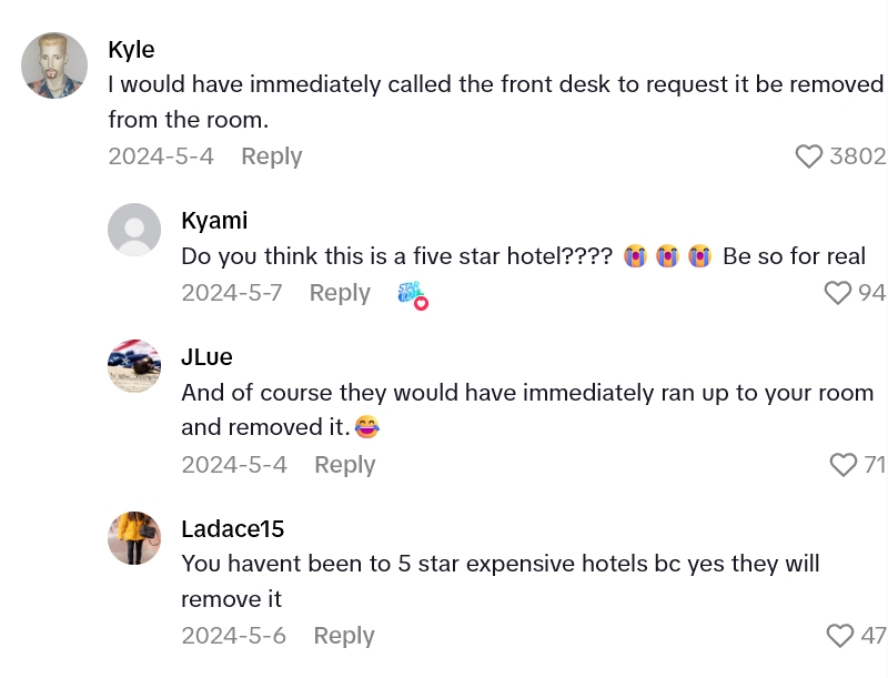 2025 08 20 23 49 45 Hotel Room Guest Noticed A Painting So Weird And Creepy She Had To Cover It Up