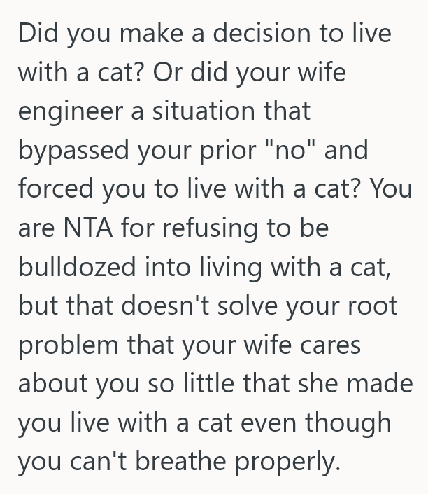 2025 08 26 19 33 49 He Reluctantly Let A Cat Into His House, But Now He Cant Breathe And Wants To Take His Decision Back