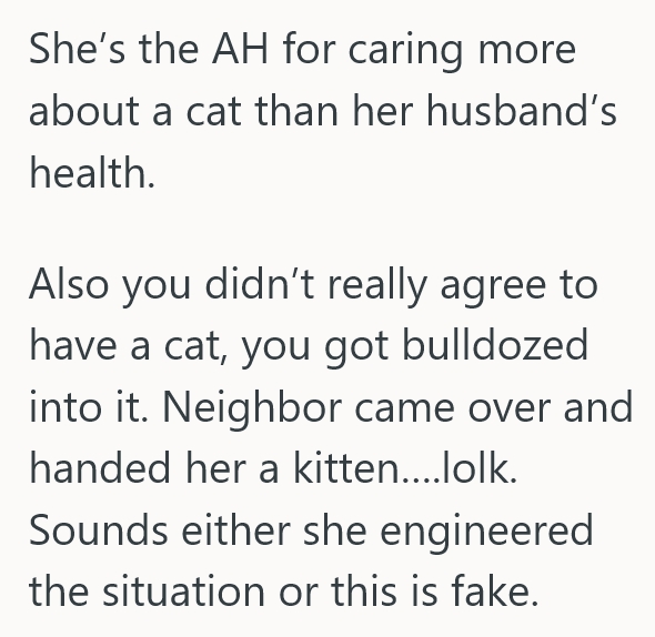 2025 08 26 19 34 37 He Reluctantly Let A Cat Into His House, But Now He Cant Breathe And Wants To Take His Decision Back