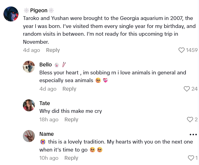 2025 08 27 17 00 54 People Are Touched As Fish Appear To Comfort A Shark After The Passing Of Their Friend