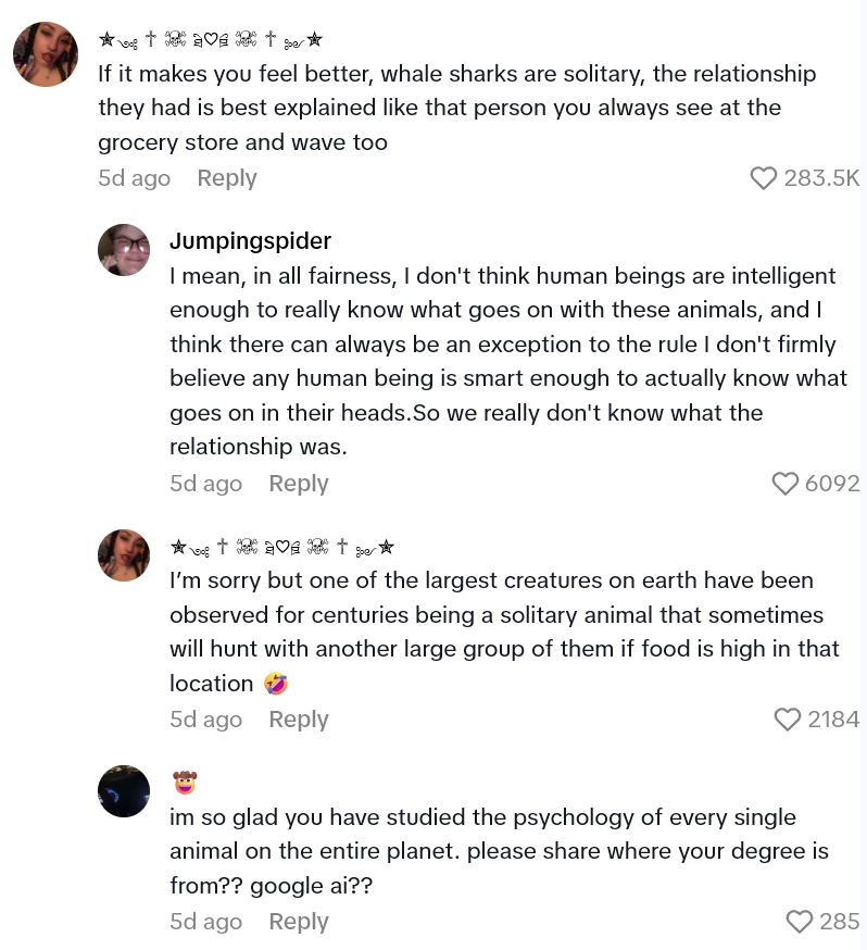 2025 08 27 17 01 25 People Are Touched As Fish Appear To Comfort A Shark After The Passing Of Their Friend