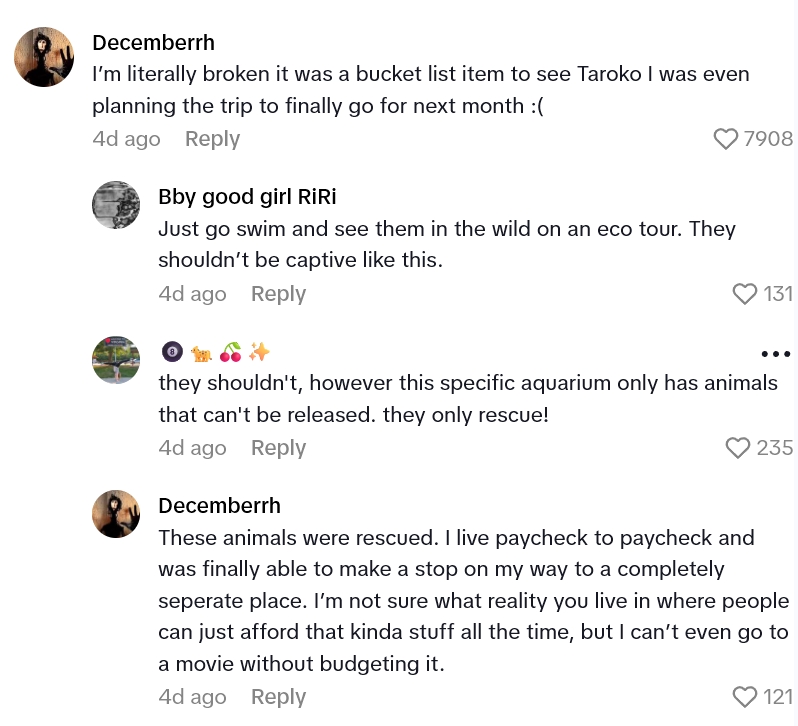 2025 08 27 17 02 26 People Are Touched As Fish Appear To Comfort A Shark After The Passing Of Their Friend