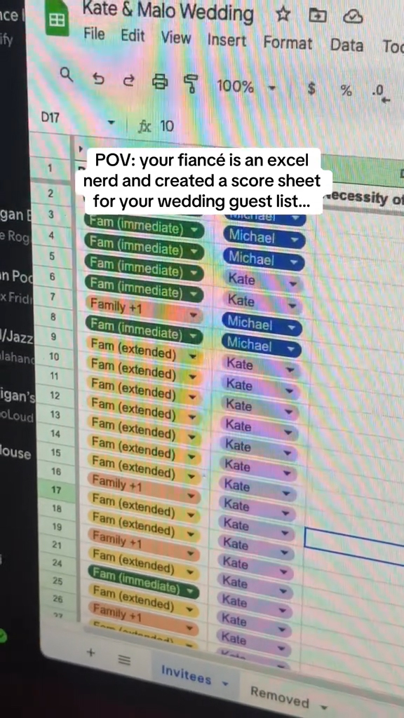 Kate's fiance going over their wedding spreadsheet
