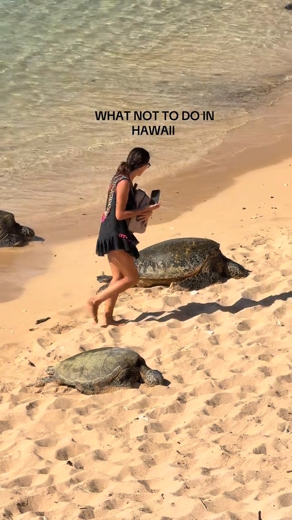 A woman on a protect beach in Maui