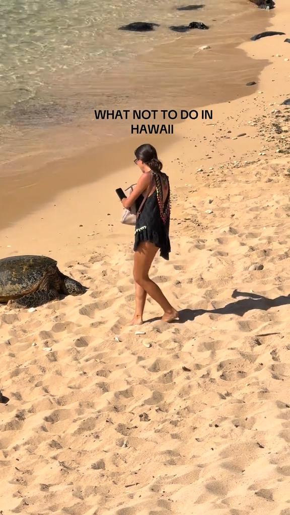 A woman on a protect beach in Maui