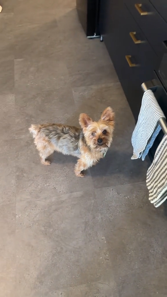 Nicole with her dog and his bone