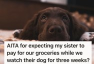 Student Is Happy To Puppy-Sit For Her Wealthy Sister, And Even Does So For Free. But When Her Vacationing Sister Asks For Money, She Knows Something Isn’t Right.