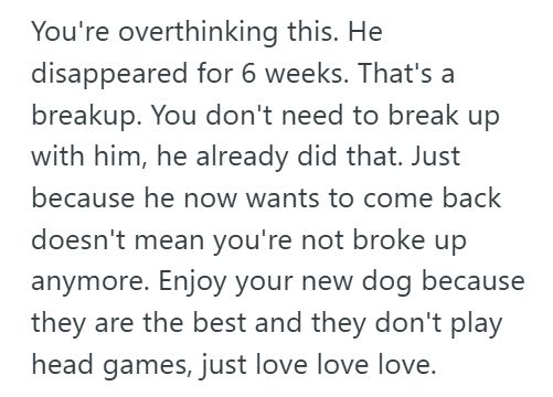 Adopted Dog 3 Her Boyfriend “Paused” Their Relationship And Ghosted Her For Six Weeks, So She Adopted A Dog. But Now Hes Back And Angry She Made The Move Without Him.