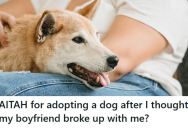 Her Boyfriend “Paused” Their Relationship And Ghosted Her For Six Weeks, So She Adopted A Dog. But Now He’s Back And Angry She Made The Move Without Him.