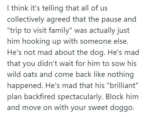 Adopted Dog Her Boyfriend “Paused” Their Relationship And Ghosted Her For Six Weeks, So She Adopted A Dog. But Now Hes Back And Angry She Made The Move Without Him.