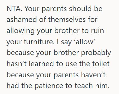 Autistic Brother 1 She Refuses To Let Her Autistic Brother Visit After He Ruined Her New Couch, But Now Her Parents Are Calling Her Selfish