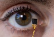 This Tiny Device Could Allow Paralyzed People To Turn Their Thoughts To Speech