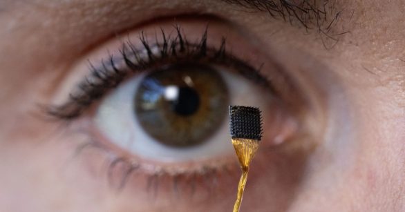 A microelectrode display in front of a human eye