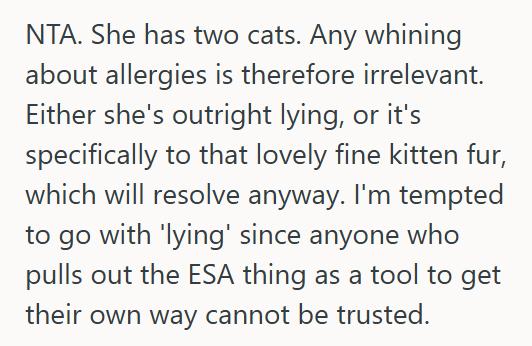 Baby Kitty 2 She Refused To Rehome Her Orphaned Kitten After Her Roommate Claimed Fake Allergies, So Now Her Roommate Is Threatening To Report Her To The Landlord