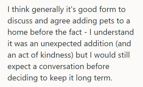 Baby Kitty 3 She Refused To Rehome Her Orphaned Kitten After Her Roommate Claimed Fake Allergies, So Now Her Roommate Is Threatening To Report Her To The Landlord