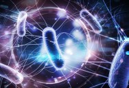 New Bacteria That Does Not Exist On Earth Found On China’s Space Station