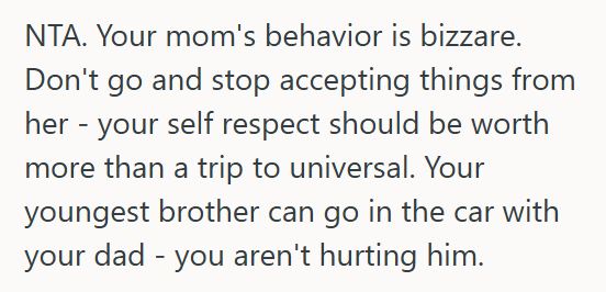 Christmas Trip 1 Parents Promised Their Kids A Fully Paid Christmas Trip To Universal Studios, But Then They Tried To Make Their Siblings Cover Each Other’s Flights