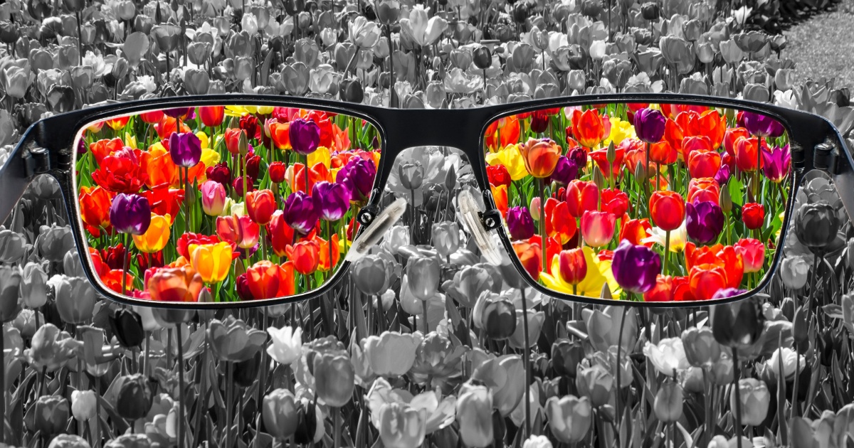Glasses showing colorful flowers