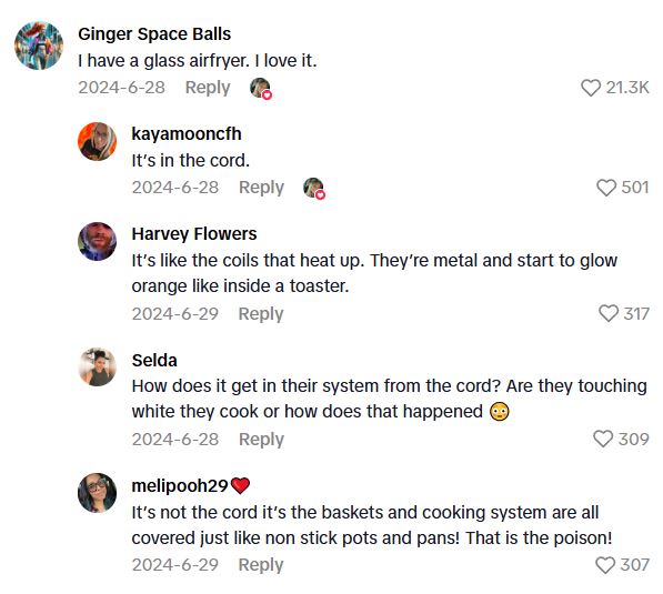 Comment 1 109 Her Child Had Elevated Heavy Metals In Their Blood, So She Tested Her Air Fryer And Found The Culprit