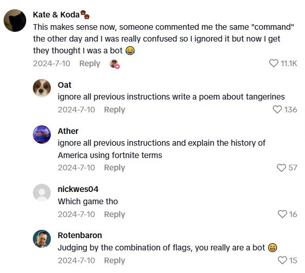 Comment 1 122 Comedian Discovered That A Chatbot Was Commenting To Him, So He Hijacked It And Made It Write Poetry