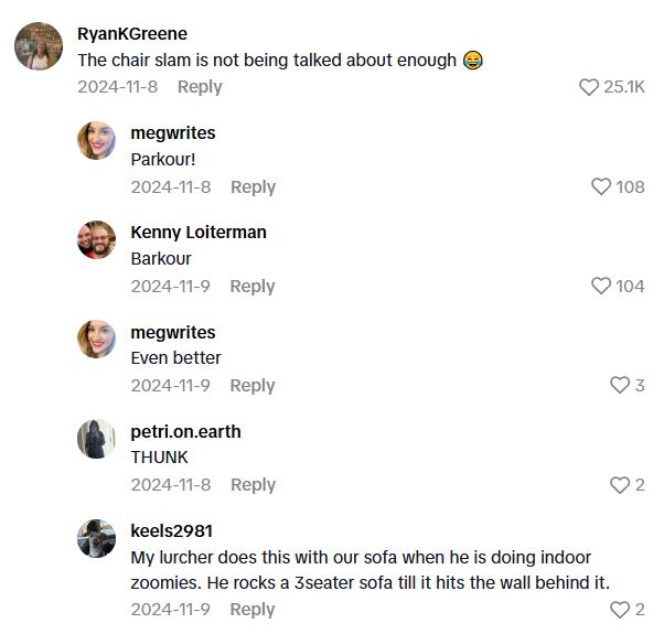 Comment 1 4 Is This Dog Really Excited To See A Household Appliance, Or Is It Warning Of Something Lethal?