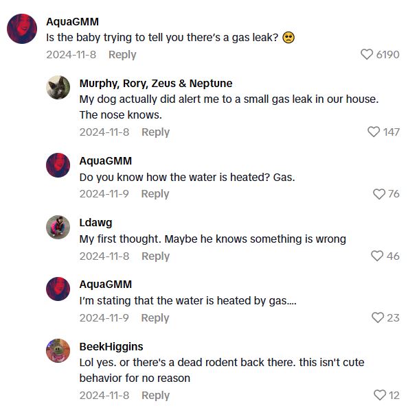 Comment 2 4 Is This Dog Really Excited To See A Household Appliance, Or Is It Warning Of Something Lethal?