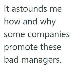 Comment 2 58 New Manager Harassed Him And Refused To Award A Bonus, So This Employee Quit And Filed A Complaint With The Department Of Labor