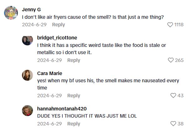 Comment 3 109 Her Child Had Elevated Heavy Metals In Their Blood, So She Tested Her Air Fryer And Found The Culprit