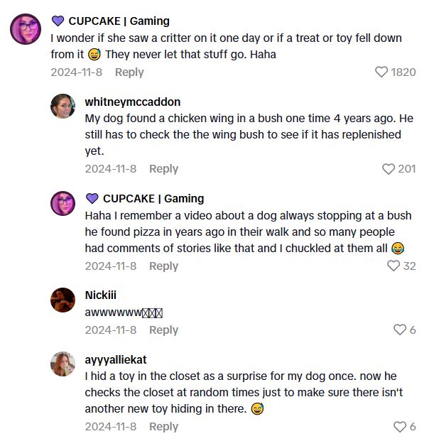 Comment 3 4 Is This Dog Really Excited To See A Household Appliance, Or Is It Warning Of Something Lethal?