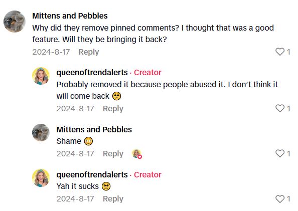Comment 3 44 TikTok Eliminated The Pinned Comment Feature, But This Creator May Have Found An Alternative