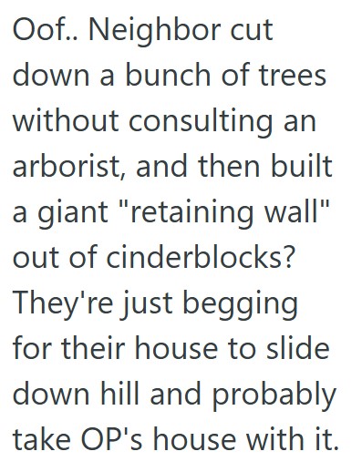 Comment 5 43 He Tried Multiple Times To Tell His Neighbor That Their Landscaping Project Was Violating City Law And HOA Guidelines, But He Was Told To Mind His Own Business