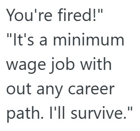 Comment 5 52 Office Assistant Follows Her Bosses Instructions Perfectly, But It Makes The Boss Looks Clueless So The Assistant Got Fired