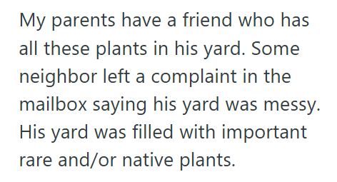 Cool Uncle 1 HOA Tried To Fine This Man For His Tiny Garden Fence, So He Retaliated With Hundreds Of Noisy Whirligigs Until His Neighbor Backed Off