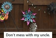 HOA Tried To Fine This Man For His Tiny Garden Fence, So He Retaliated With Hundreds Of Noisy Whirligigs Until His Neighbor Backed Off