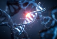 Biologists Are Working On Creating A Human Chromosome From Scratch While Studying The Ethical Concerns