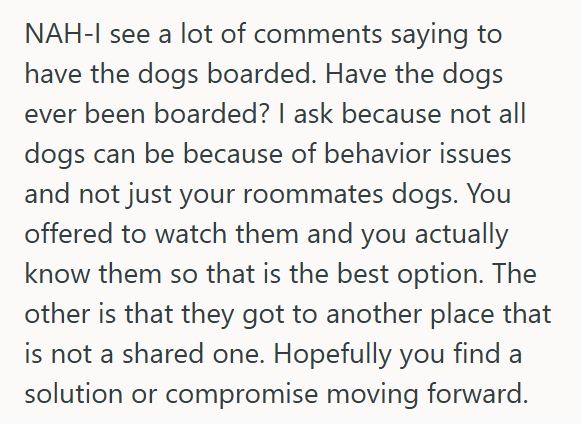 Dog Sitter 1 His Roommates Want To Hire A Live In Dog Sitter To Stay In Their Shared Apartment Even Though Their Roommate Offered To Help, And Now It’s Causing Tension