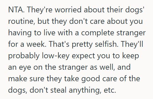 Dog Sitter 2 His Roommates Want To Hire A Live In Dog Sitter To Stay In Their Shared Apartment Even Though Their Roommate Offered To Help, And Now It’s Causing Tension