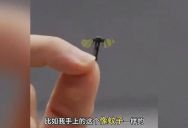 Chinese Military Unveils Tiny Drones The Size Of A Fly And Others That Can Be Deployed From Six Miles Away