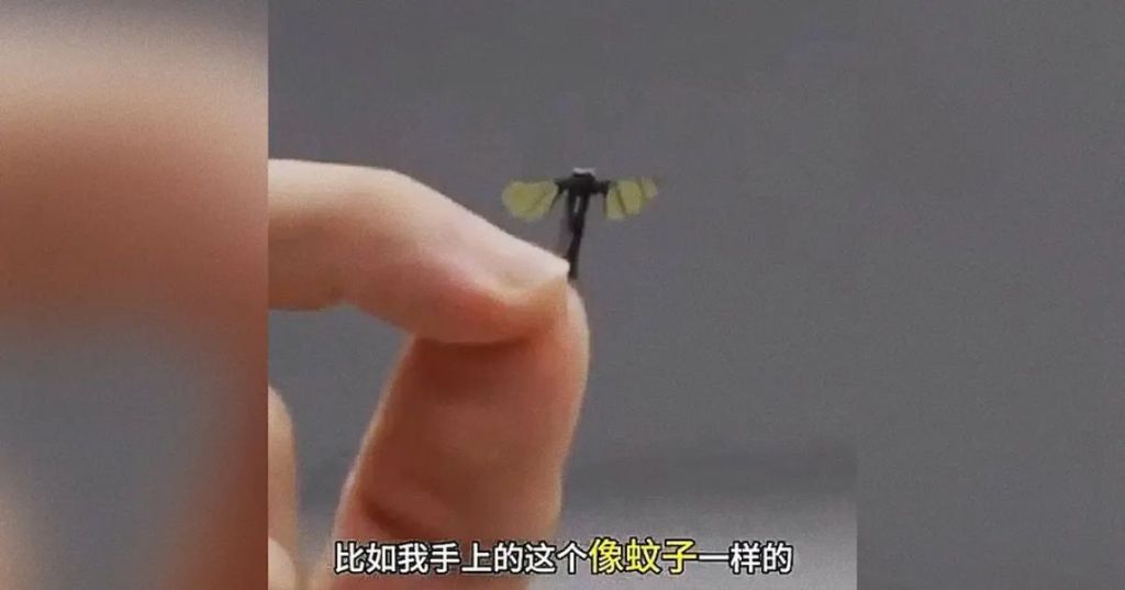 Tiny drone