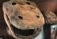 Paleontologist Unearths A Fossil In Texas With A Striking Resemblance To Barney The Dinosaur