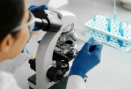 Obesity Risk Can Now Be Identified In Childhood Thanks To A Simple Genetic Test