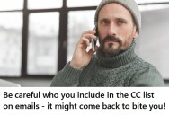 Head Of Finance Tried Slandering Him On An Email For A $1 Million Loss, But He Did A Quick Check And It Was Actually Her Doing