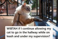 Her Allergic Neighbor Wants Her Cat Out Of The Hallway, But They Live In A Pet-Friendly Building