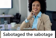Her Colleague Was In Charge Of Training Her For A New Role But Tried Sabotaging Her Instead, So She Decimated Her Plans