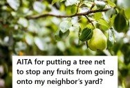 His Neighbors Were Getting Free Fruit From His Tree But He Wanted To Sell Them, So He Bought A Tree Net And Offered Them A Good Price