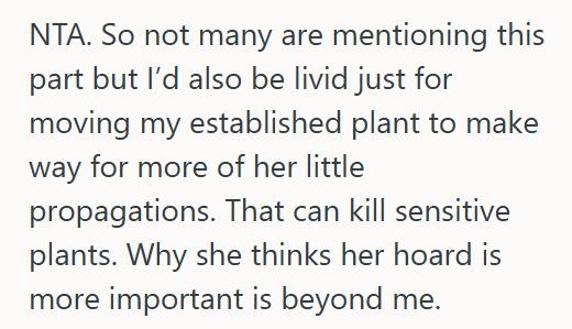House Plants 1 She Told Her Roommate To Stop Filling Their Shared Apartment With Dozens Of Plants, And Now The Roommate Thinks She’s Being Unreasonable