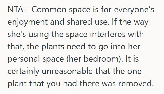 House Plants 2 She Told Her Roommate To Stop Filling Their Shared Apartment With Dozens Of Plants, And Now The Roommate Thinks She’s Being Unreasonable