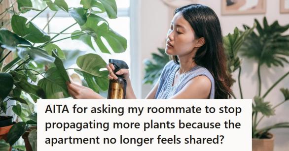 Woman watering one of many house plants in the living room