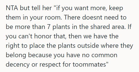 House Plants She Told Her Roommate To Stop Filling Their Shared Apartment With Dozens Of Plants, And Now The Roommate Thinks She’s Being Unreasonable
